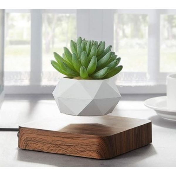 HEXAFLY - Mini-jardin Design en lévitation avec base BOIS foncé