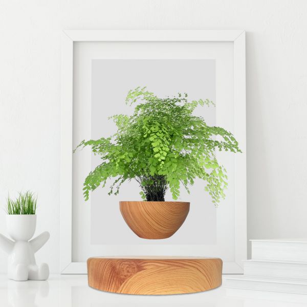 Mini jardin suspendu anti-gravité finition Bois noyer