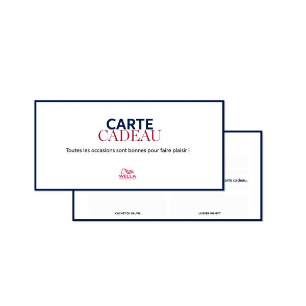 Lot de 50 cartes cadeaux recto/verso 21x10 cm