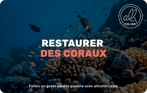 Allcolibri préservation des Fonds marins
