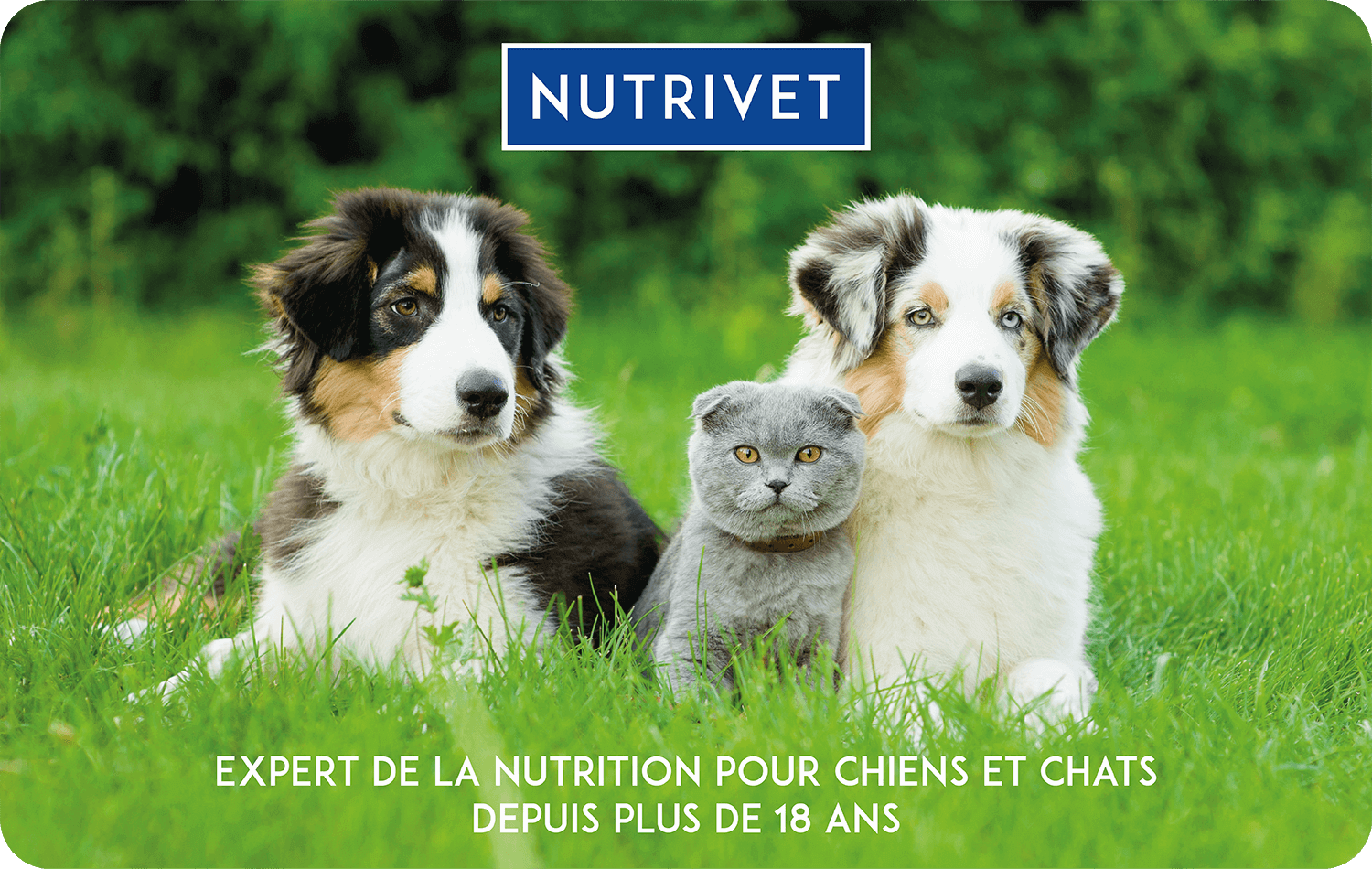 Nutrivet