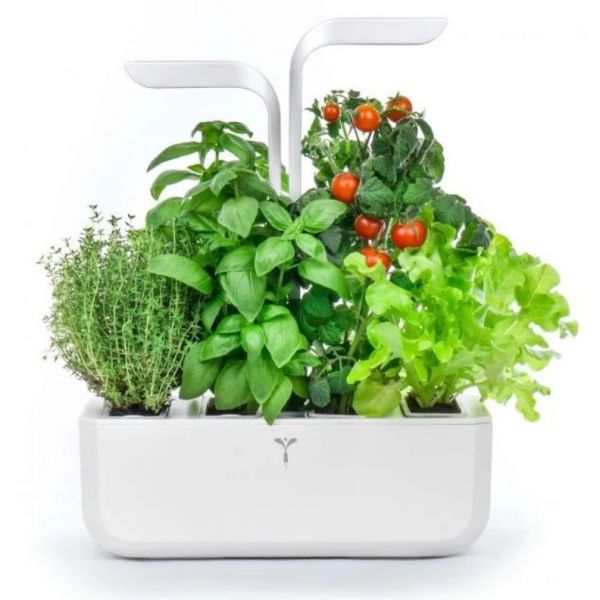 Potager d&
