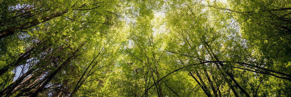 Eco Responsable (chèques cadeaux)