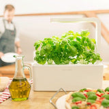 CLICK & GROW SMART GARDEN 3 Blanc