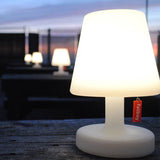 LAMPE EDISON PETIT MODELE