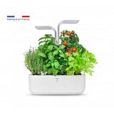 Potager autonome SMART Arctic White