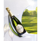 Magnum de Champagne