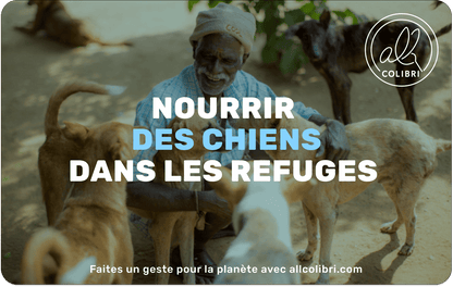 Allcolibri préservation des Fonds marins