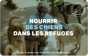 Allcolibri préservation des Fonds marins