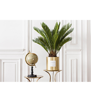 Carte cadeau By Charlot