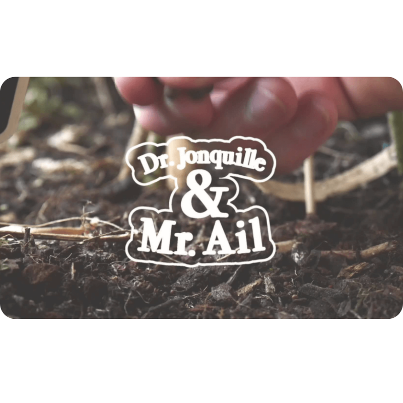 Carte cadeau Dr Jonquille et Mr Ail
