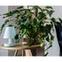 Edison The Ambiance Lampe de table rechargeable, bleu