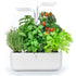 Potager d&