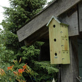 Appartement à oiseaux